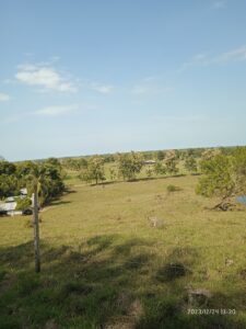 IMG_20231224_133031_Original