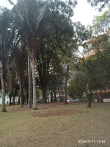 IMG_20240911_134527_Original