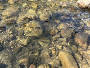 IMG_5016